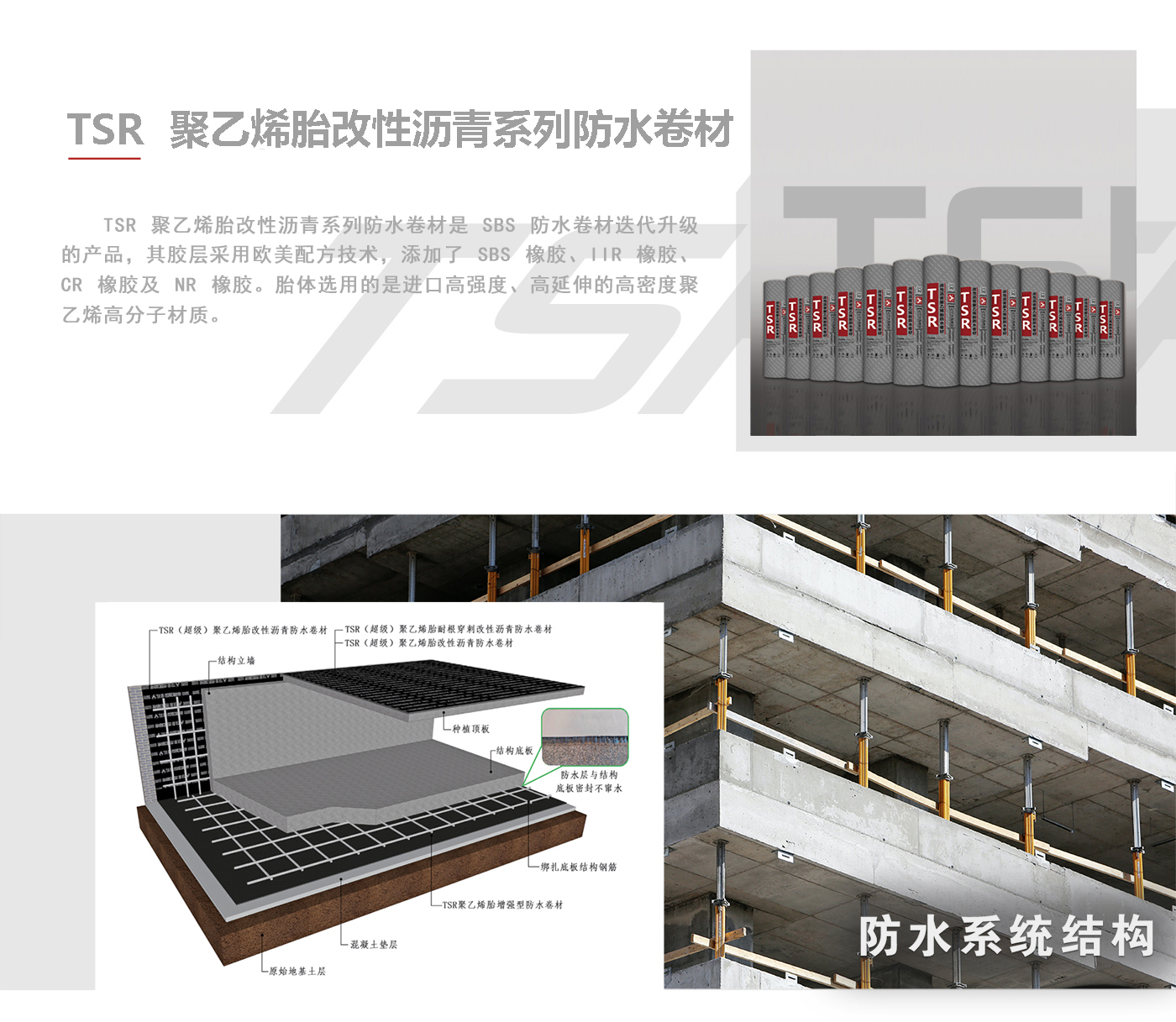 TSR（超级）聚乙烯胎改性沥青系列防水卷材